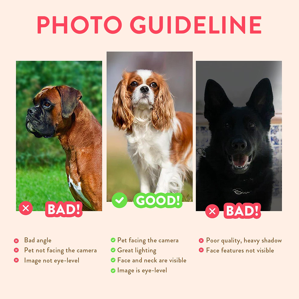 Personalized Pet Portraits Pho - Photograph Lyrics review and price