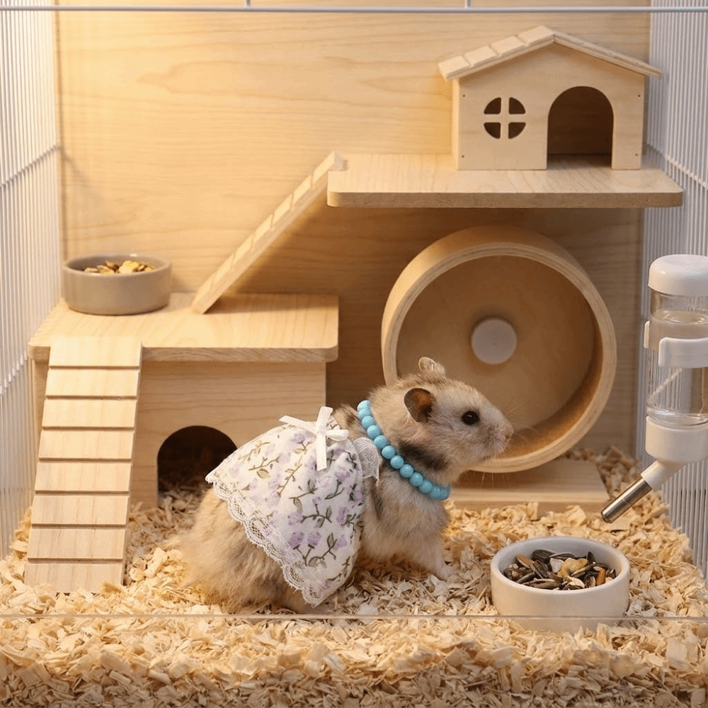 Elegant Breathable Hamster Lac - Photography Vest review and price